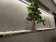大堂-闫府私房菜·百年鲁菜(恒隆店)