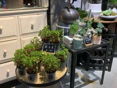 -弗劳尔花艺坊(龙涛店)