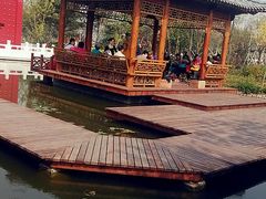 -武清南湖绿博园