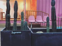 -灯塔咖啡馆BOOK·Coffee Shop