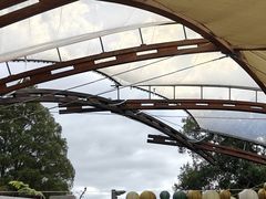 -怀托摩萤火虫洞