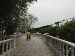 -百万葵园