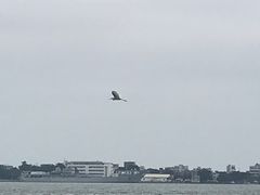 -霞山观海长廊