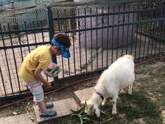 -上海滴水湖皇冠假日酒店