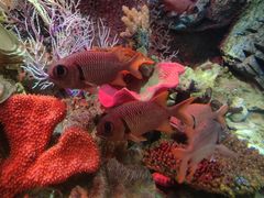 -太平洋海底世界