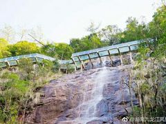 -九龙江国家森林公园