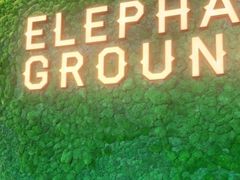 -大象园ELEPHANT GROUNDS(万象天地店)
