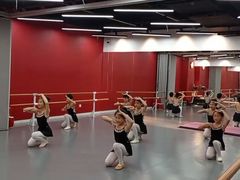 -舞霖精灵国际舞蹈教育中心(华创生活广场店)