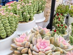 -宝龙广场(福州台江店)
