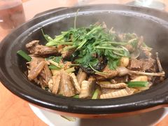 -八姑农庄·广府西江菜·云南野生菌