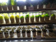 -雍和会海鲜姿造自助(湖东路店)