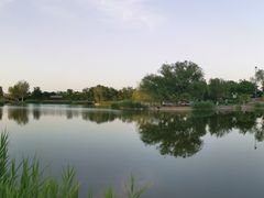 -西海子公园