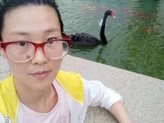 -行者书屋大堂吧 ·下午茶(南京圣和府邸酒店)