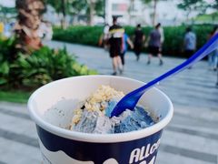 -蔻蔻椰·鲜萃椰子水(欢乐港湾店)