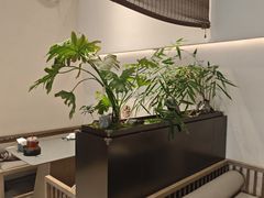-俏立方·15年新楚菜