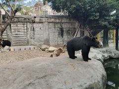 -灵玲国际马戏城