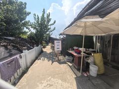 -樂桃源奉贤黄桃种植采摘基地