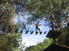 -梦幻奥陶纪景区