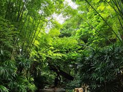 -人民公园(罗湖区)