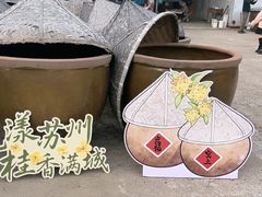 -苏州市吴中区光福窑上花果蜜饯厂