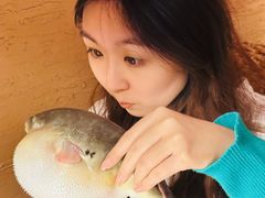 -永安鱼庄·镇江菜(常发广场一店)
