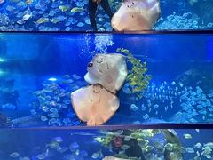 -重庆欢乐海底世界