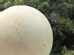 -盒马鲜生(观音桥店)