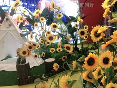 -中海环宇荟
