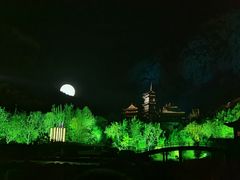 -禅宗少林·音乐大典