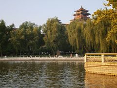 -莲花池公园