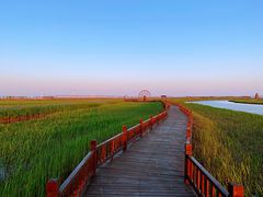 -东方华地城湿地温泉度假区