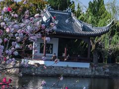-无锡蠡湖国家湿地公园-蠡园