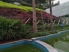 -三峡古玩城(泰古广场店)