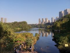 -重庆彩云湖湿地公园