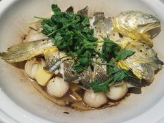 -食廬(浦东嘉里城店)