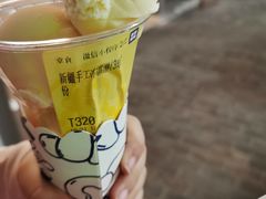 -西琳姑娘·新疆冰淇淋酸奶茶(南开大悦城店)