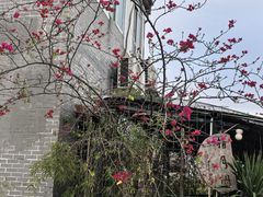 -小洲村