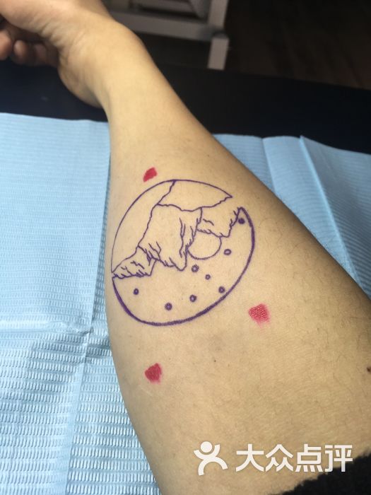 霸下_2227的相册