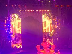 -广州长隆国际大马戏