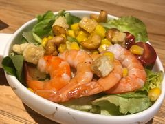 仙女们的沙拉-晃晃悠悠酒肉合作社