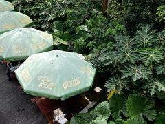 -水濂山森林公园