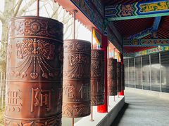 -皇罗禅寺