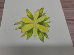-八哥美术·成人美术画室(总校区)
