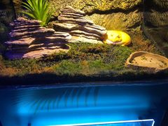 -梦幻海洋王国(吾悦广场张家港店)