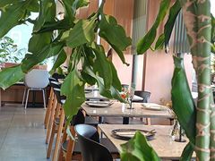 -gaga(深圳福田星河COCO Park店)