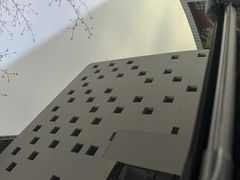 -鲨鱼皮汽车凹陷玻璃修复(静安店)