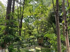 -成都市活水公园