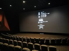 -金逸影城(影视中心IMAX店)