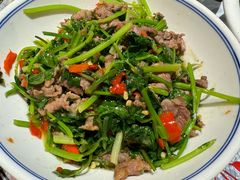 -壹盏灯(惠农店)