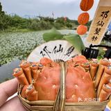 秋日的美味之旅🦀 | 来邓仙蟹舫享受阳澄湖大闸蟹盛宴！
